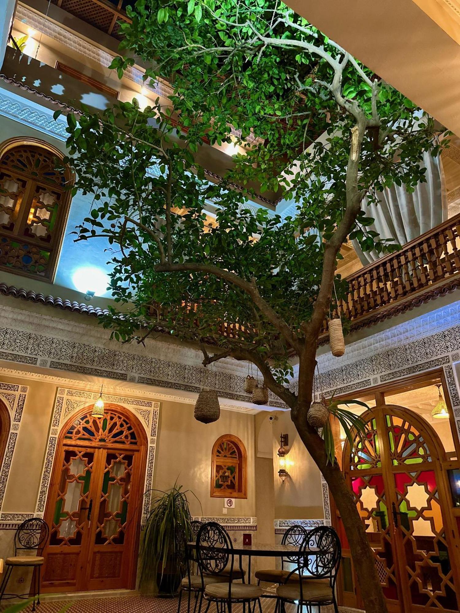 Riad Shajara Μαρακές Εξωτερικό φωτογραφία
